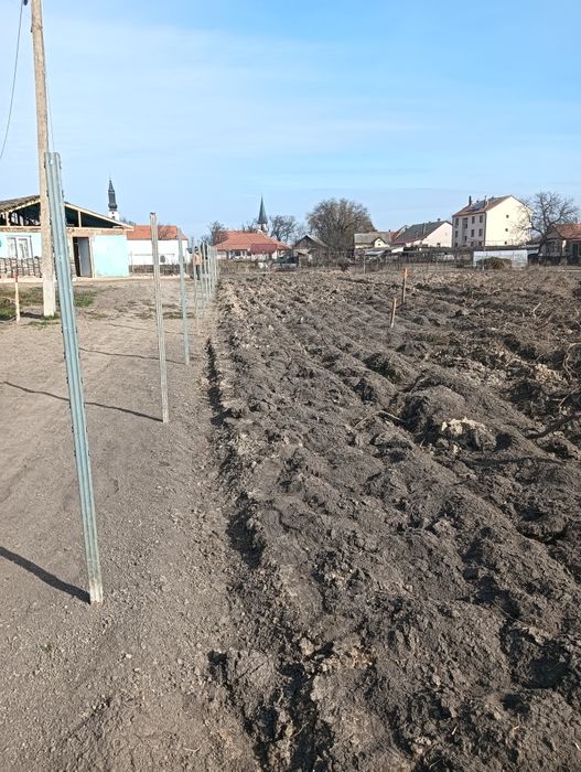 Vând      grădină