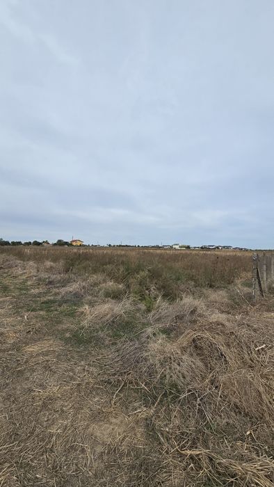 Teren intravilan  2500m² localitatea Lazu 
SUPRAFATA 2480mp
DESCHIDERE 38,43m
SITUATLA 600m DE SOSEAUA CUMPENEI SI 500M DE CENTRUL SATULUI LAZU
CADAST