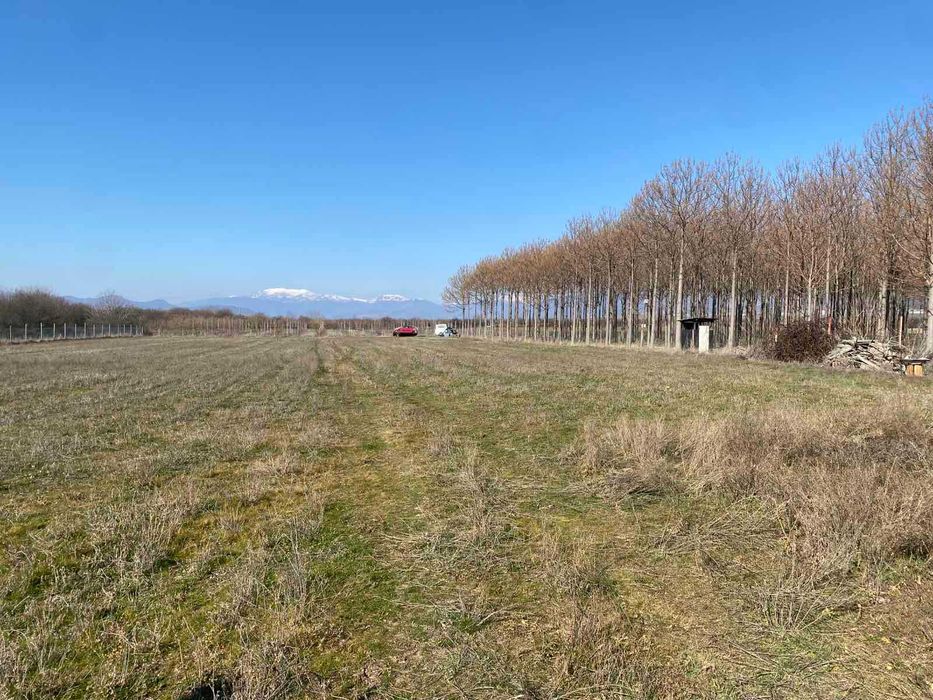 Продава се Парцел в с. Дъбене, Област Пловдив - 6000 кв.м за 6 €/кв.м - Снимка #5