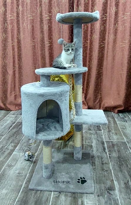 Когтеточка 10 000т