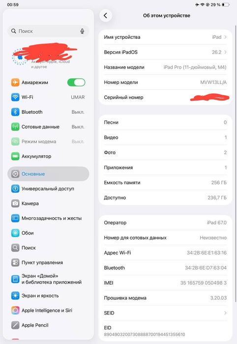 Ipad pro 11 inch m4 256 wifi+sim