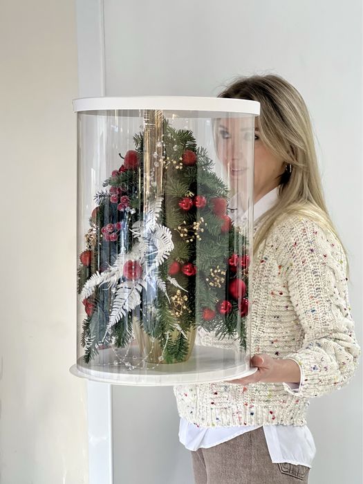 Елка живая голубая ель