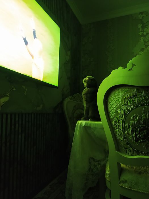 Опытный кот ,привитый с паспортом ждёт привитых невес т на вязку цена