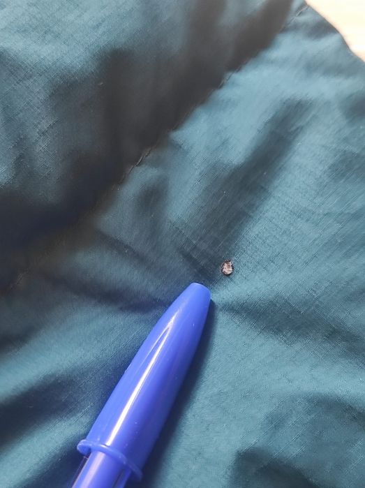 Geaca dama drumeție Jack Wolfskin M