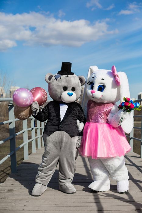 Мишки ТЕДДИ/ЗАИКА/аниматоры/поздравление