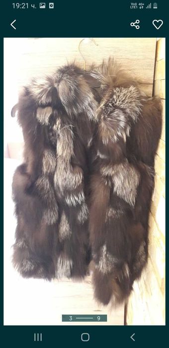 Нов елек сребърна лисица