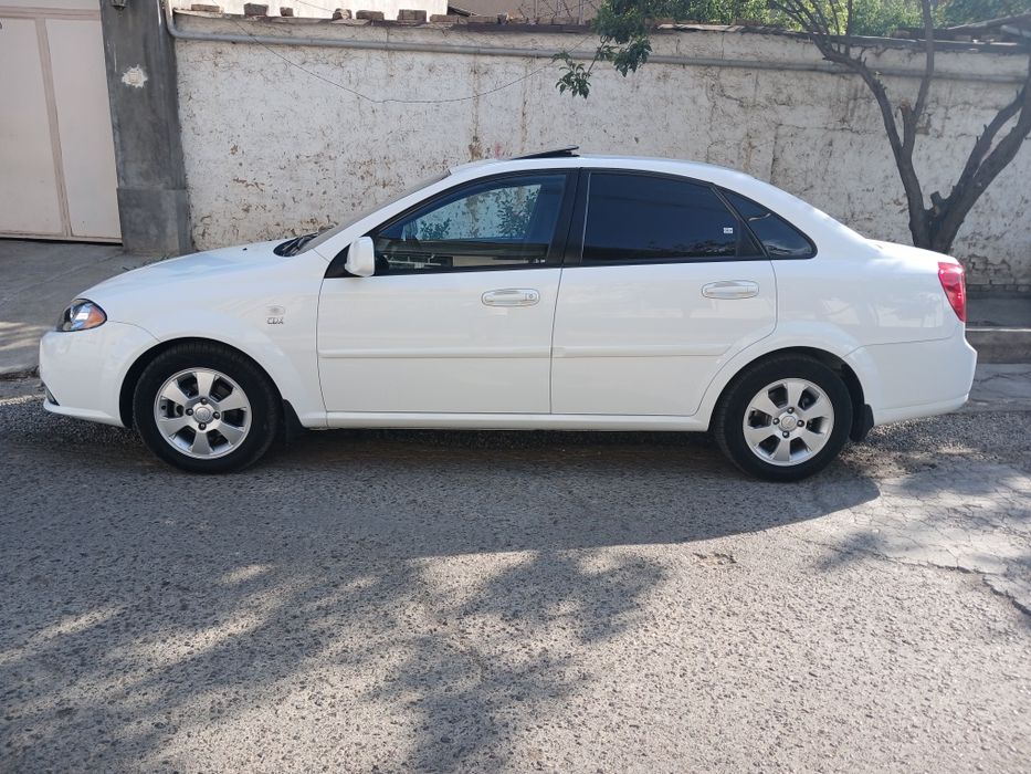 Jentra 2019 yil kraska tozza