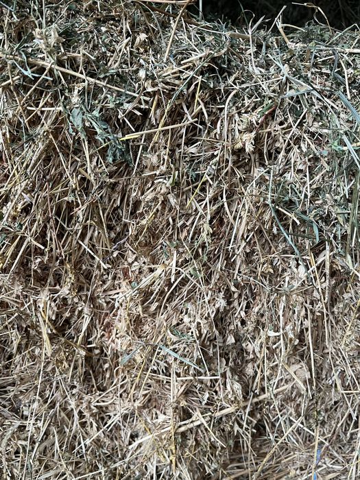 Vand baloti de lucerna