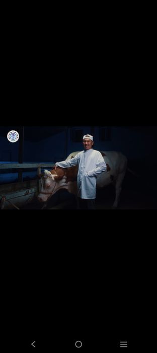 Qoʻyi-echkillar juni olamiz va veterinariya xizmat ichiga
