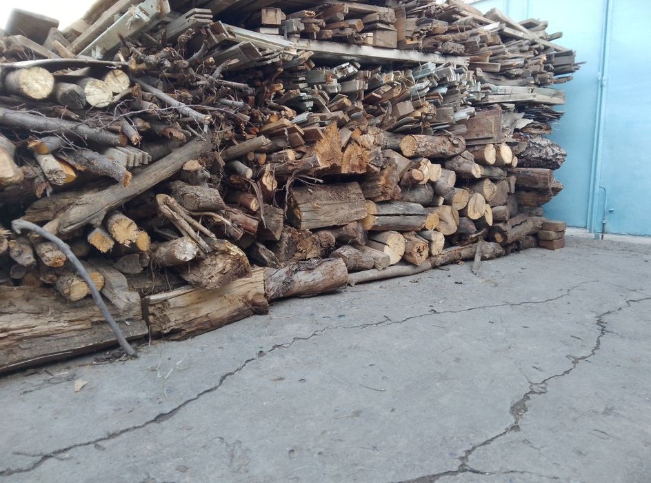 Yoqishga tayyor oʻtin !!!