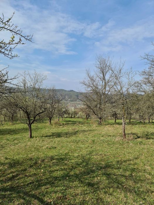 Teren de vanzare (1,7 €/mp) in Suici, Arges