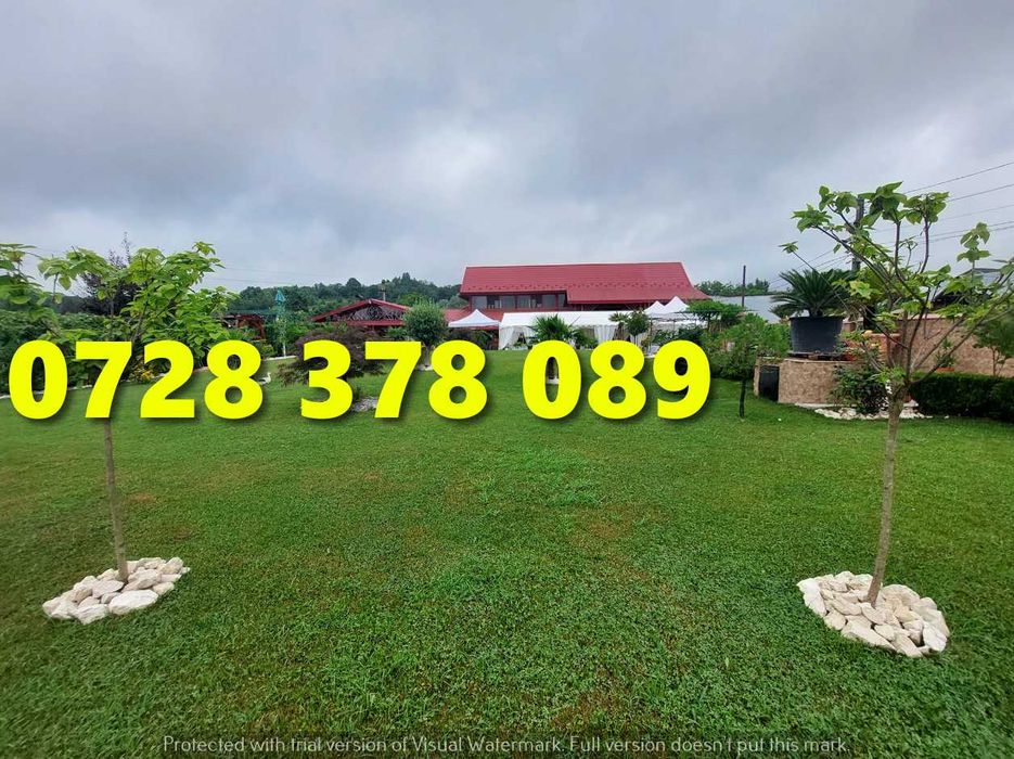 Gazon Rulou Pentru Curtea ta