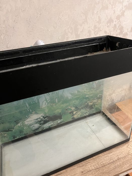 Продам аквариум