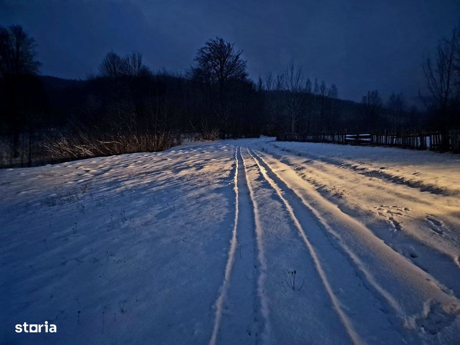 Teren 5000 mp extravilan Sinca Noua