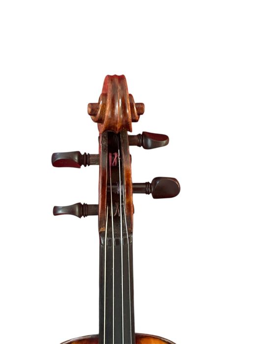 Vioara Amatii model italian