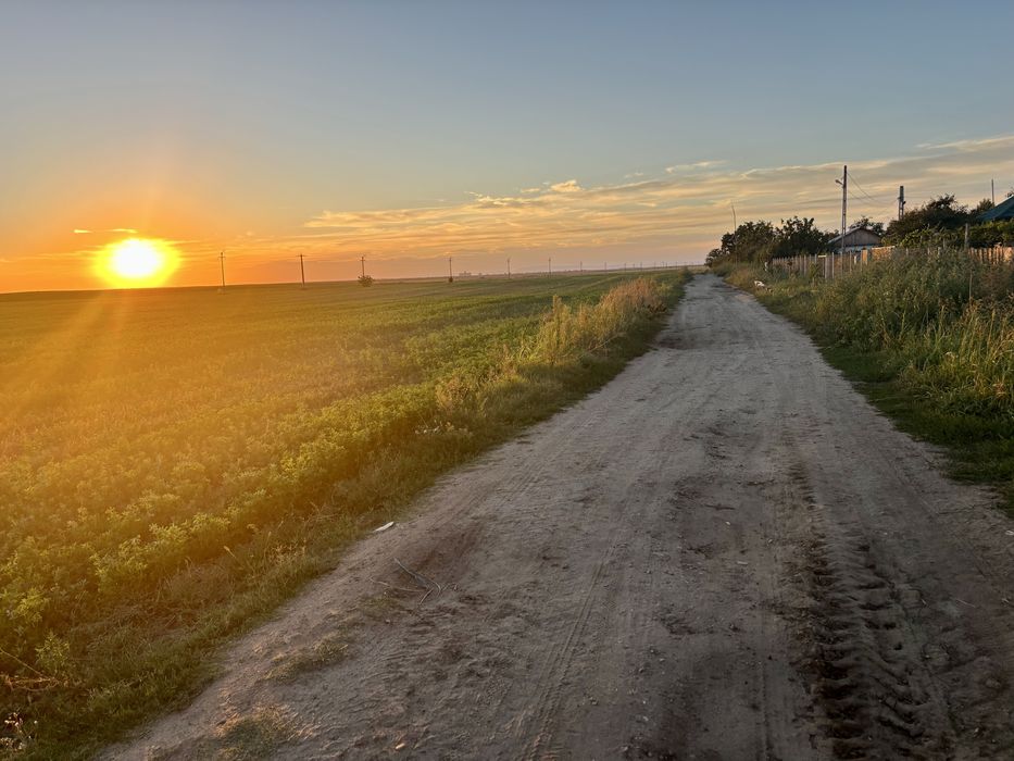 Casa de vanzare  ÎN PADINA – 1.700 MP TEREN