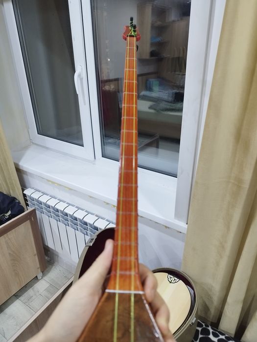 Профессиональная Домбыра