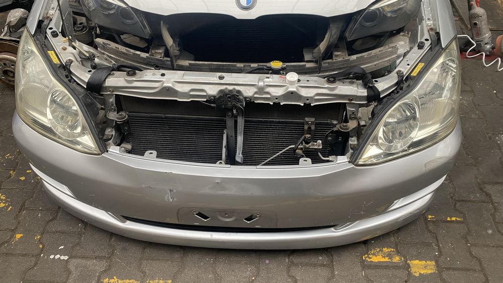 Ноускат Ипсум рестайлинг