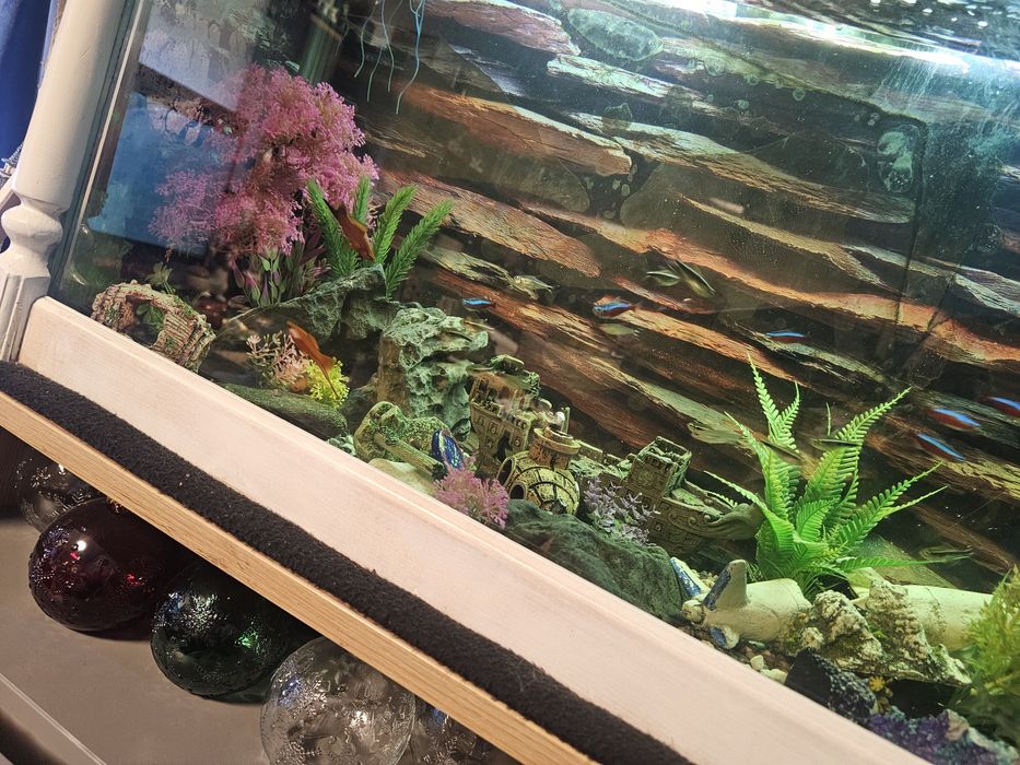 Аквариум с рибки действащ оборудван