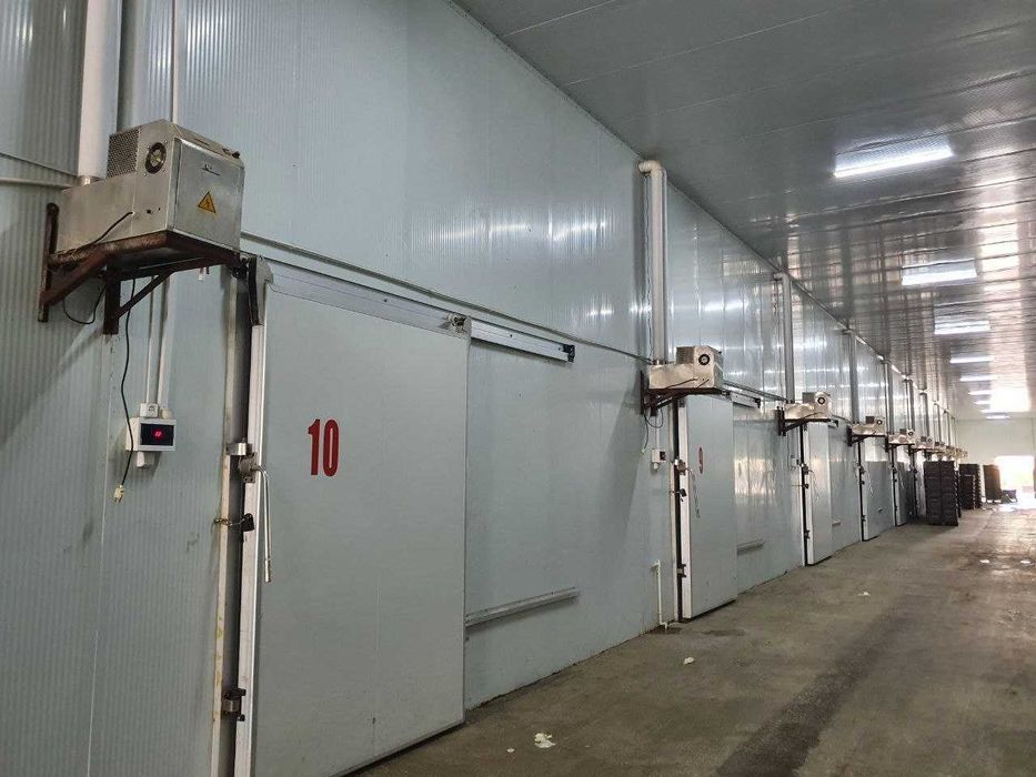 Продаётся База 8 гектар Тойтепе