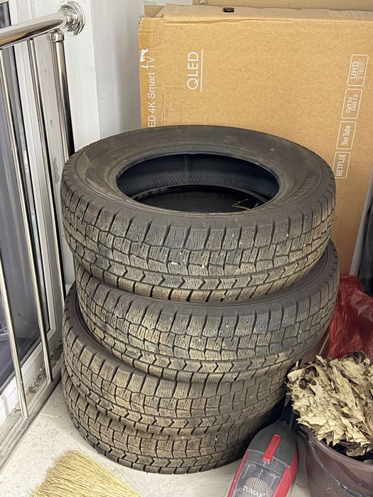 Зимняя шина dunlop