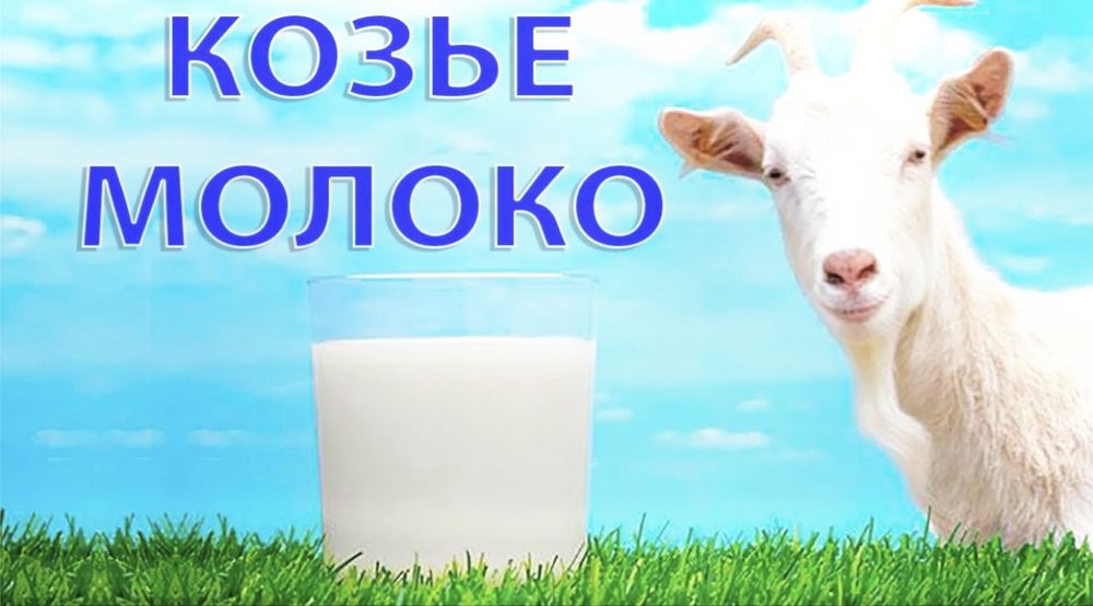 Ешкі сүті сатылады.