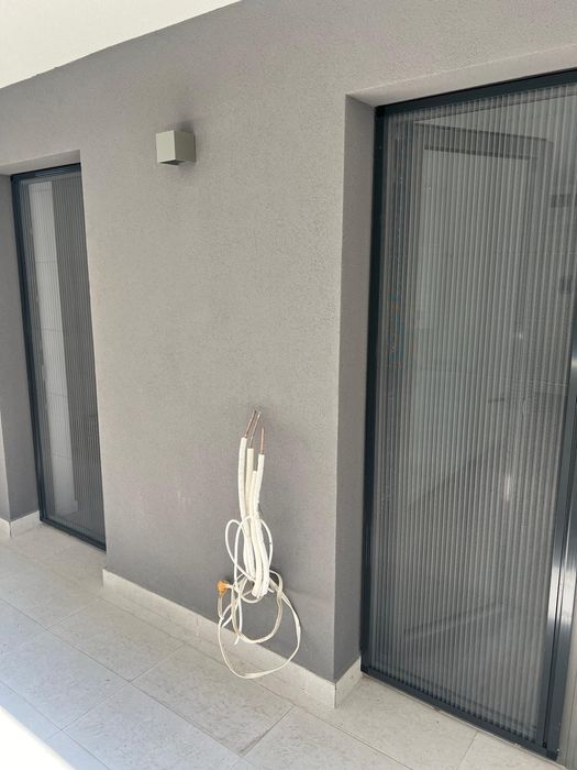 Plase contra insectelor