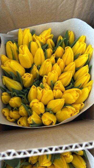 Тюльпаны Астана