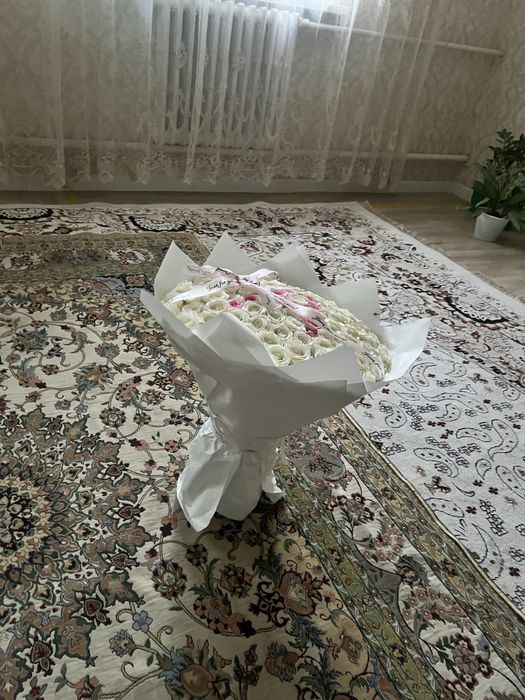 Норм гүл 101 алсандар номер бар жазындар