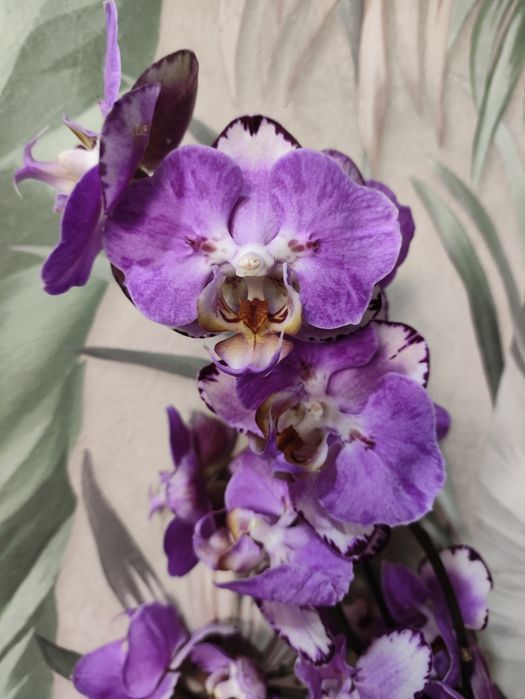 Не знаешь что подарить?