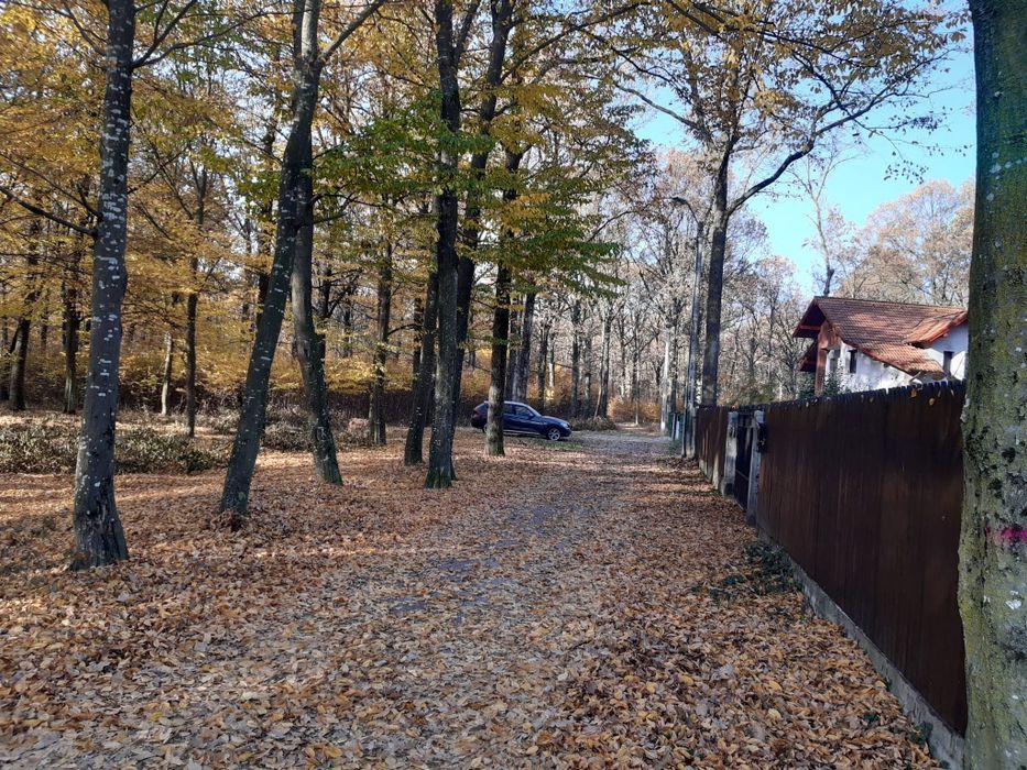 35530 m2  langa Dedeman 15 € / m 2