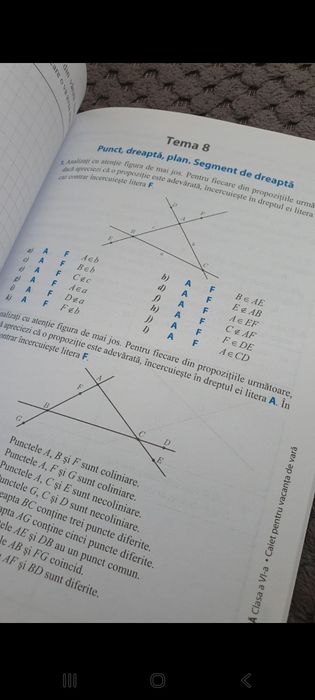 Caiet de lucru clasa a 6 a matematică