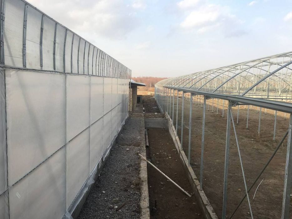 Teplisa eron teplisa 1 gektar