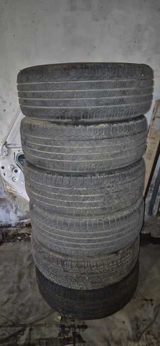 Резина лето. Tigar