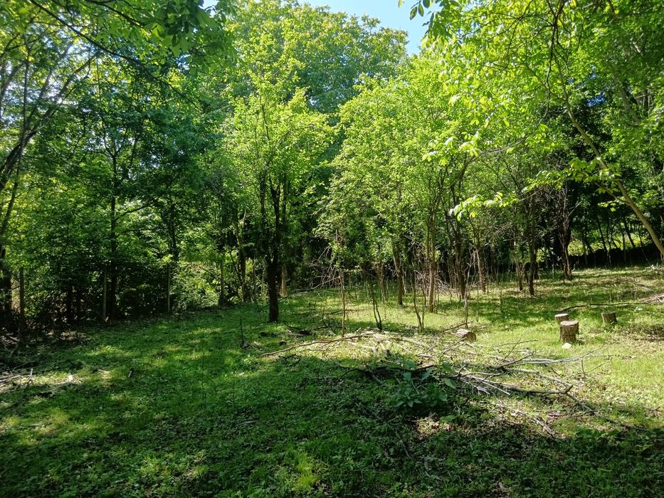 Парцел в регулация 650 кв. м. гр. Ябланица