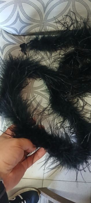 Боа от пера, ширит пера