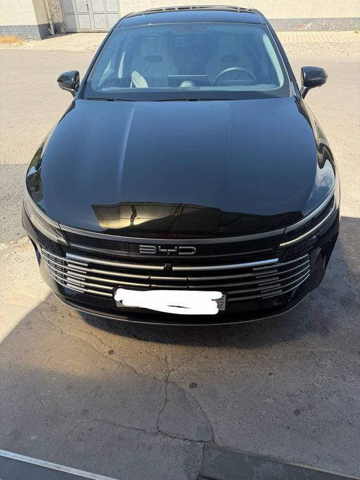 BYD Chazor 120 km