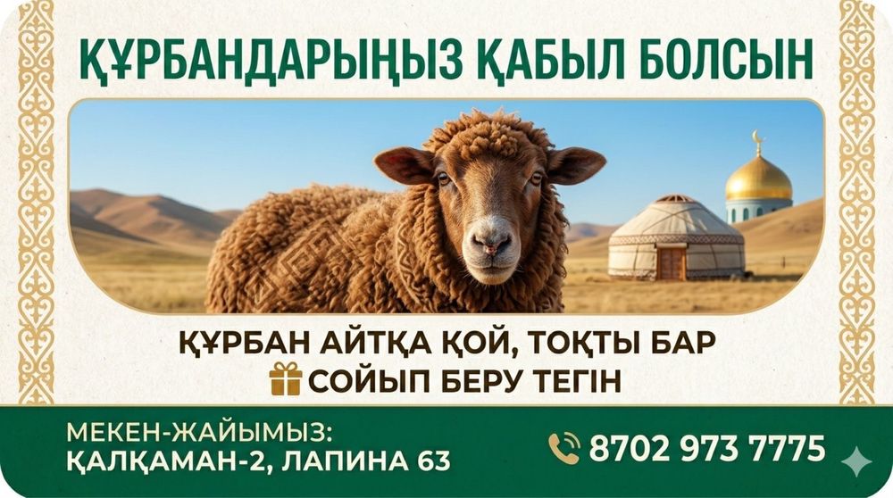 Қой тоқты баран СОЙЫП БЕРУ ТЕГІН