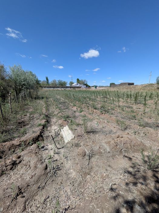 Дача сатылады манзил Шагал копир ориентир Орнек