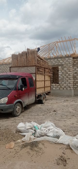 Қамыс (маты плита)