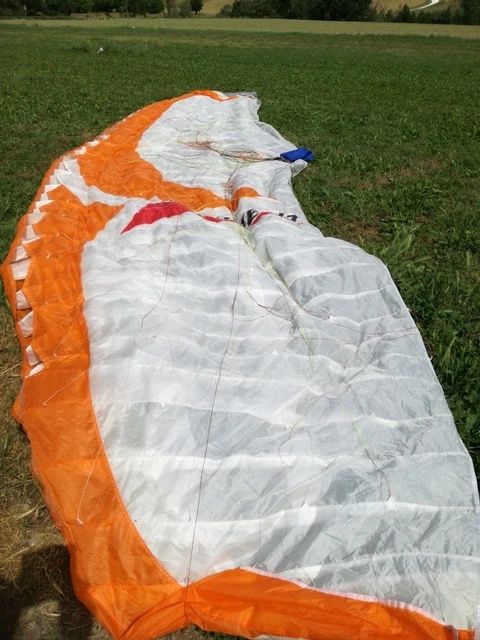 Parapanta Gradient golden 2