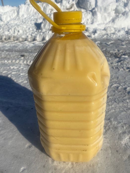 Катон-Карагайский мёд