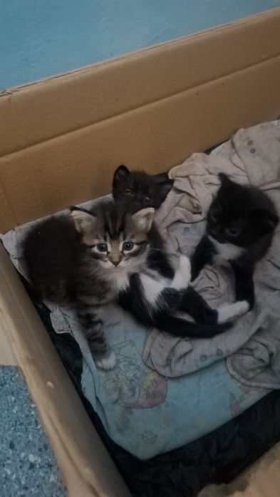 Ваши друзья на веки!!