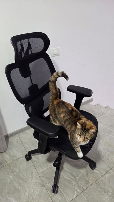 Scaun Ergonomic Humantech Mesh (Ergohuman.ro)