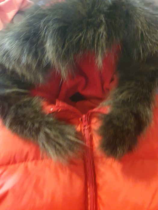 Яке Isabel Kristensen L, Terranova M