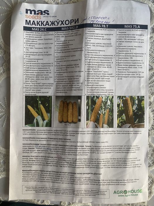 Makkajohori sotiladi