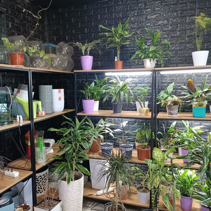 Продается готовый бизнес, действующий магазинчик ,Zoo Aqwa Flowers