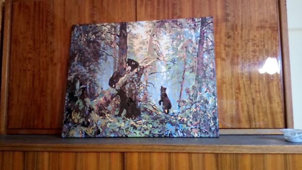 Картины по номерам. Готовые.