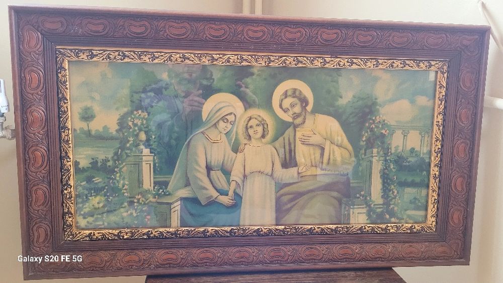 Голяма декоративна автентична коруба черупка от костенурка