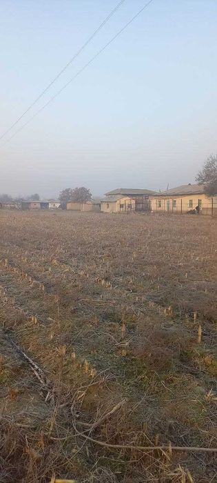 Уй сотилади 80 соток